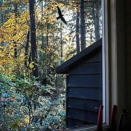 Paulus Aan De Bos Met Hot Tub Chalet