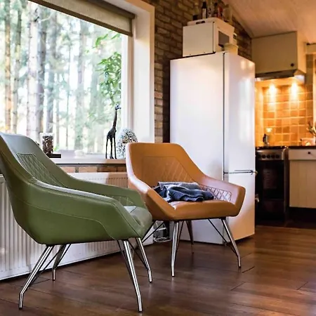 Chalet Paulus Aan De Bos Met Hot Tub Epe