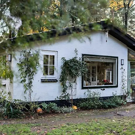 Paulus Aan De Bos Met Hot Tub