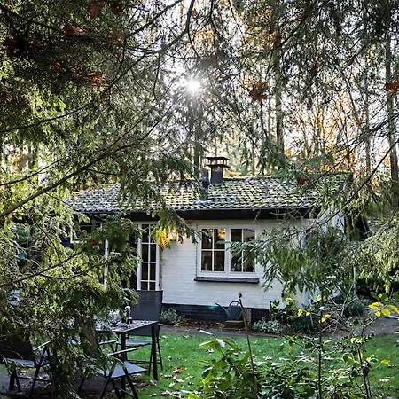 Paulus Aan De Bos Met Hot Tub Chalet Epe