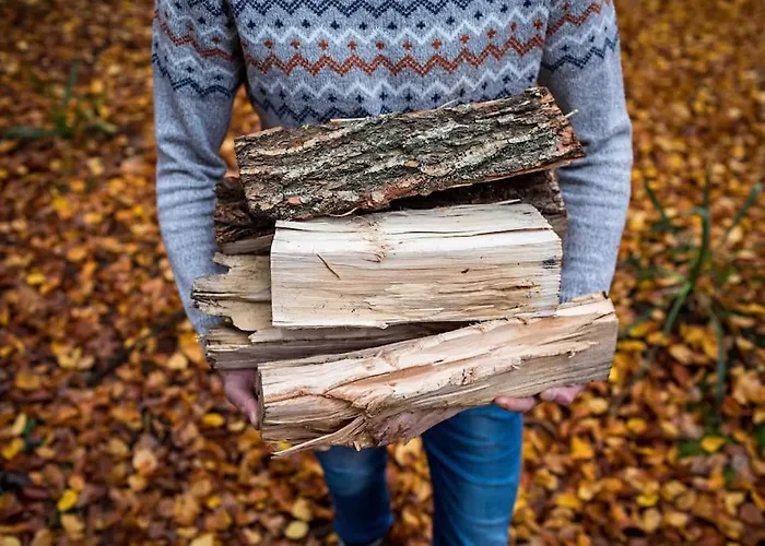 Paulus Aan De Bos Met Hot Tub Epe
