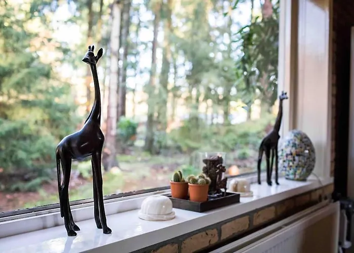 Paulus Aan De Bos Met Hot Tub Epe