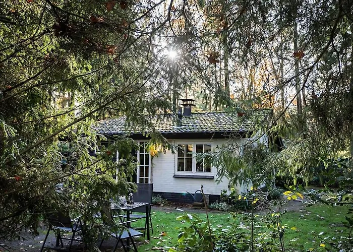 Paulus Aan De Bos Met Hot Tub Alpstuga Epe