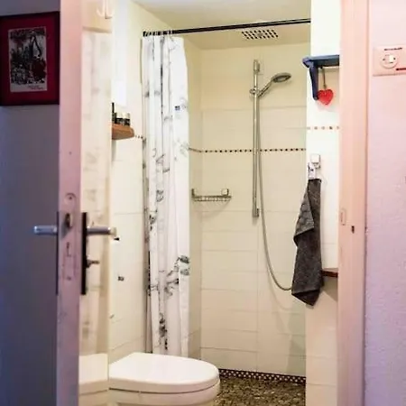 Paulus Aan De Bos Met Hot Tub * Epe