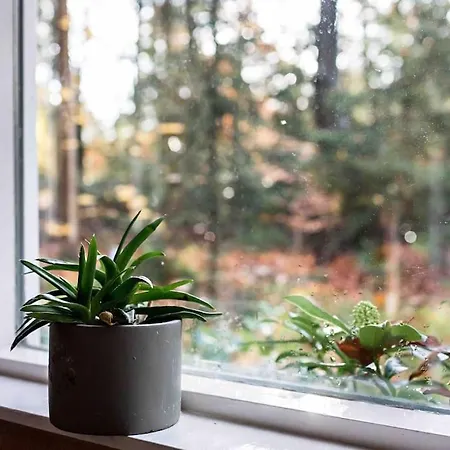 Paulus Aan De Bos Met Hot Tub *