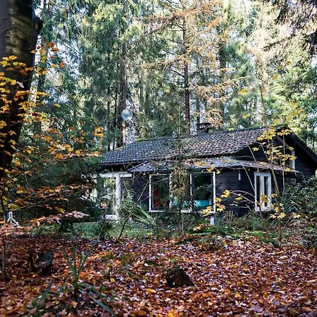 Paulus Aan De Bos Met Hot Tub Epe
