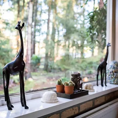 Paulus Aan De Bos Met Hot Tub Epe