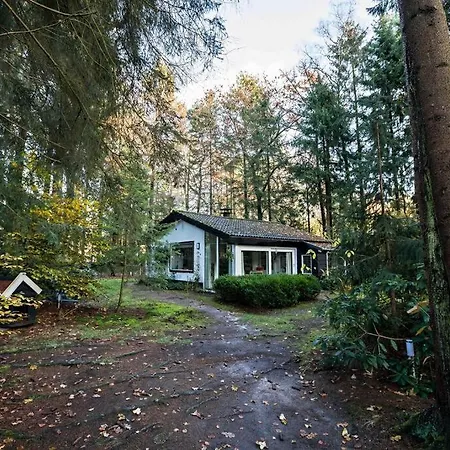 Paulus Aan De Bos Met Hot Tub * Epe