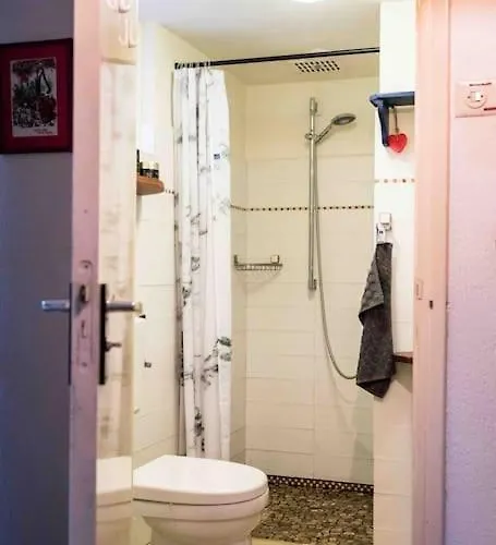 Paulus Aan De Bos Met Hot Tub * Epe