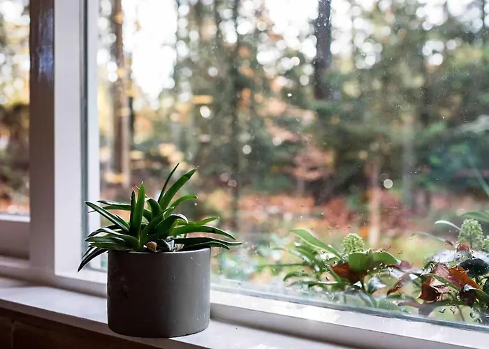 Paulus Aan De Bos Met Hot Tub *