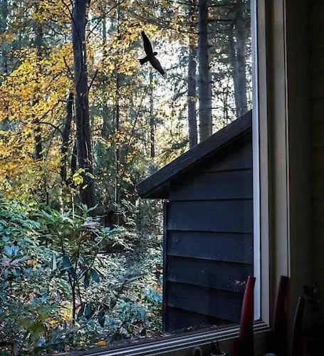 Paulus Aan De Bos Met Hot Tub Chalet