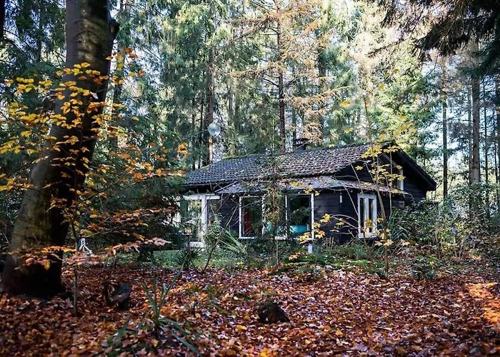 Paulus Aan De Bos Met Hot Tub Epe