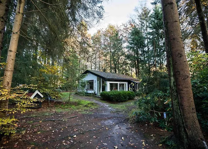 Paulus Aan De Bos Met Hot Tub * Epe